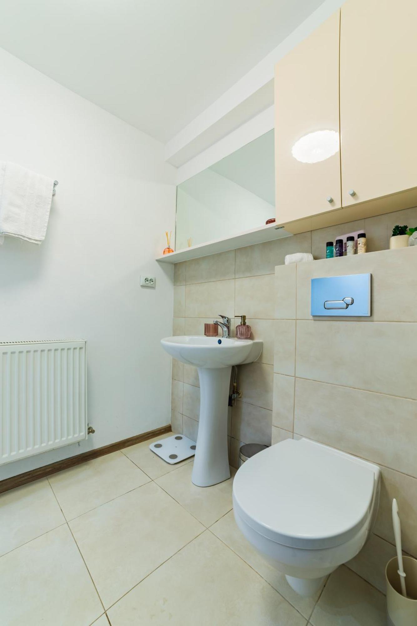Sabin Apartments Private Parking Braşov Buitenkant foto